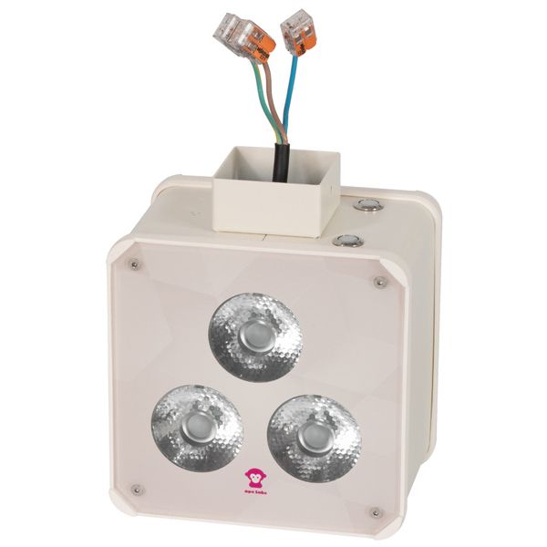 Ape Labs Double Wall Maxi V2 15° Creme