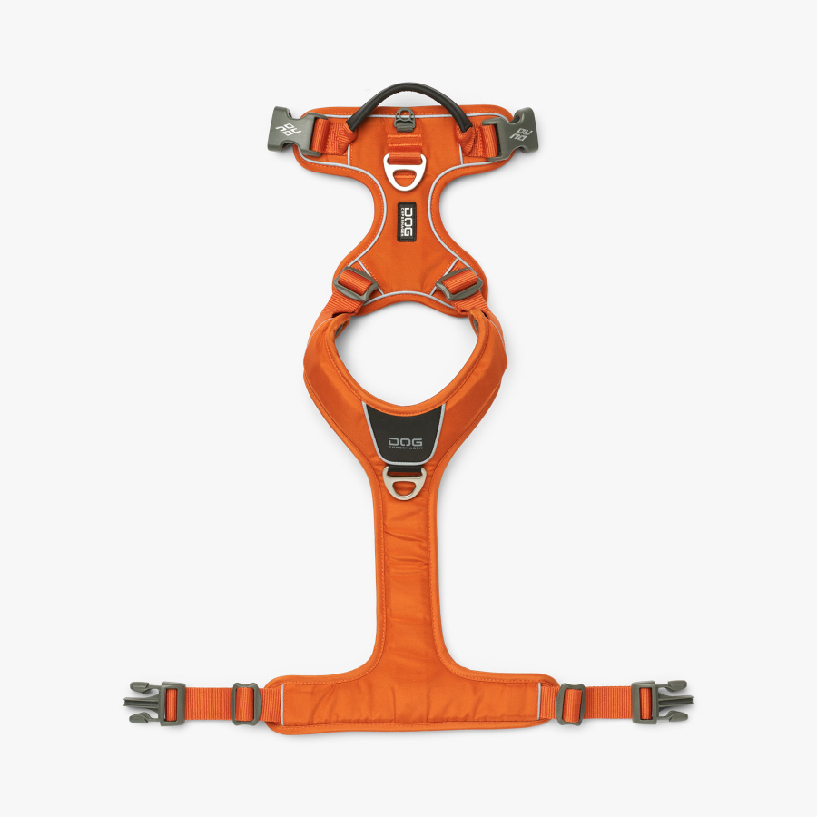 Coleira para cães Dog Copenhagen Comfort Walk Pro laranja