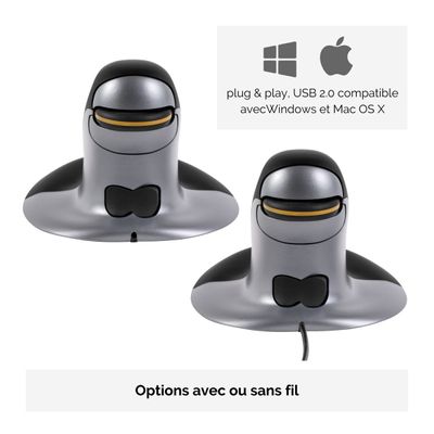 Fellowes - Souris sans fil ambidextre - Grand
