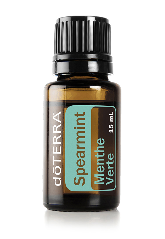 Huile de menthe verte  Mentha spicata