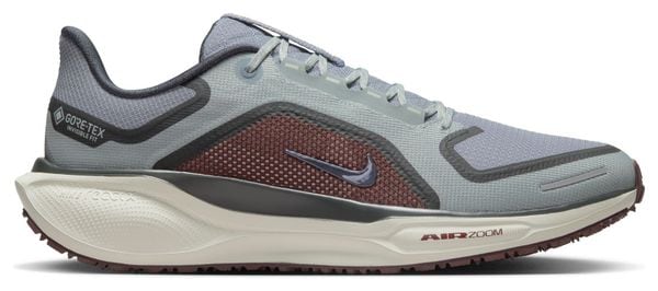 Chaussures Running Nike Pegasus 41 GTX Gris/Bleu Homme