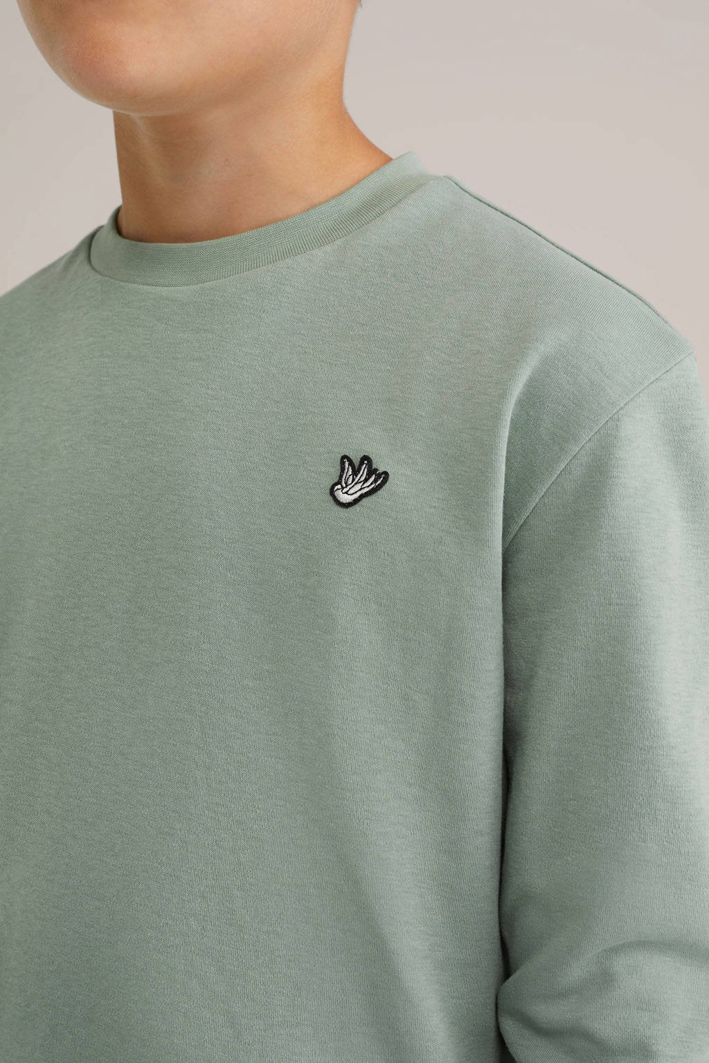 WE Fashion longsleeve saliegroen