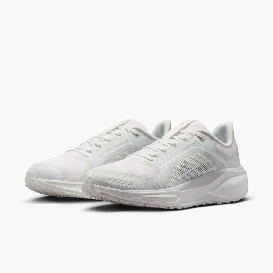 Nike Pegasus 41 GORE-TEX