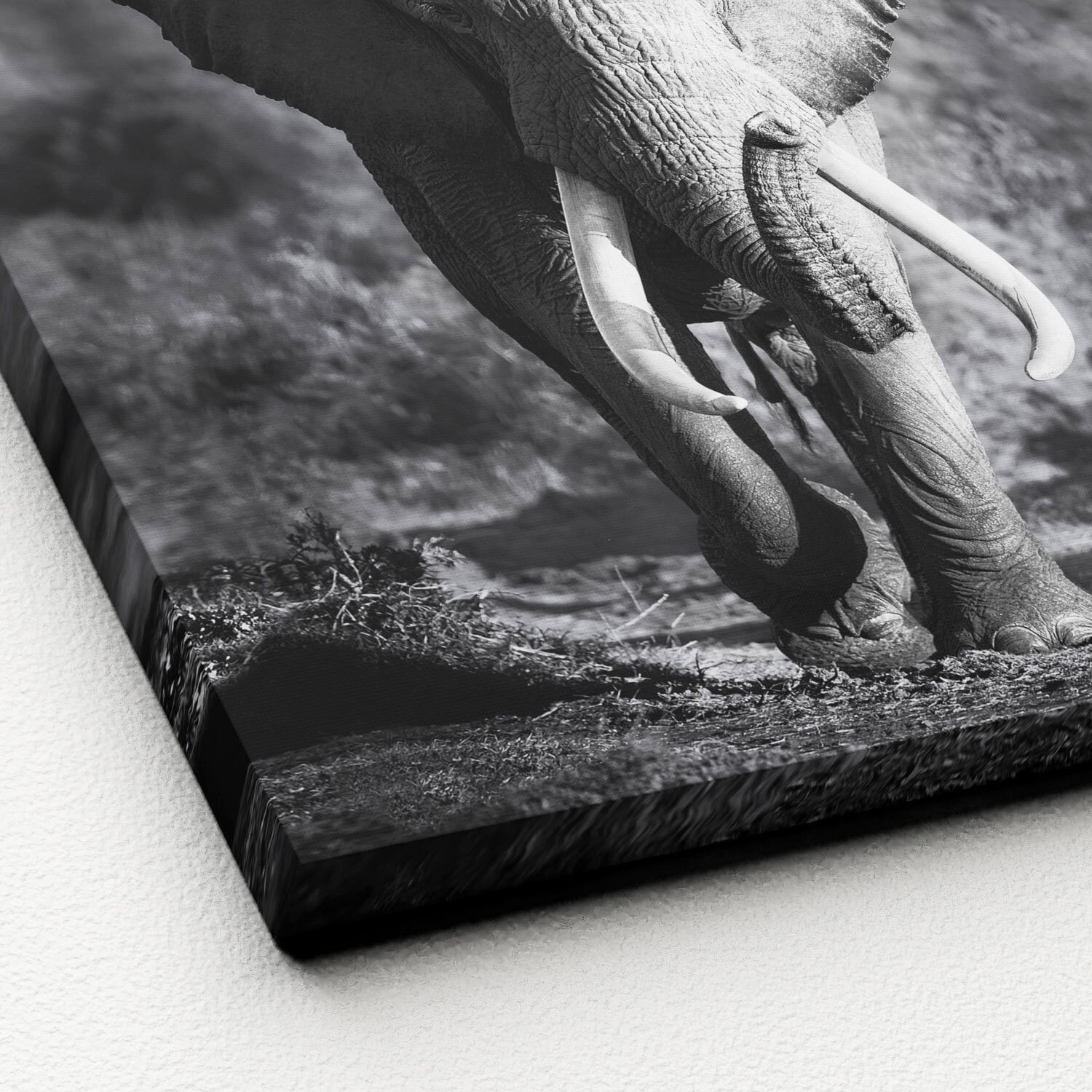 PRO ART Canvas-Art Bild GREY ELEPHANT HEAD 27 x 27 cm schwarz/ weiß