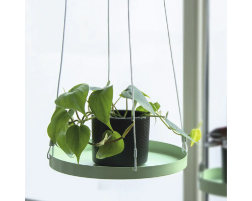 Esschert's Garden tablethouder, L Ø 24 cm H 2 cm, metaal/kunststof, rond, groen