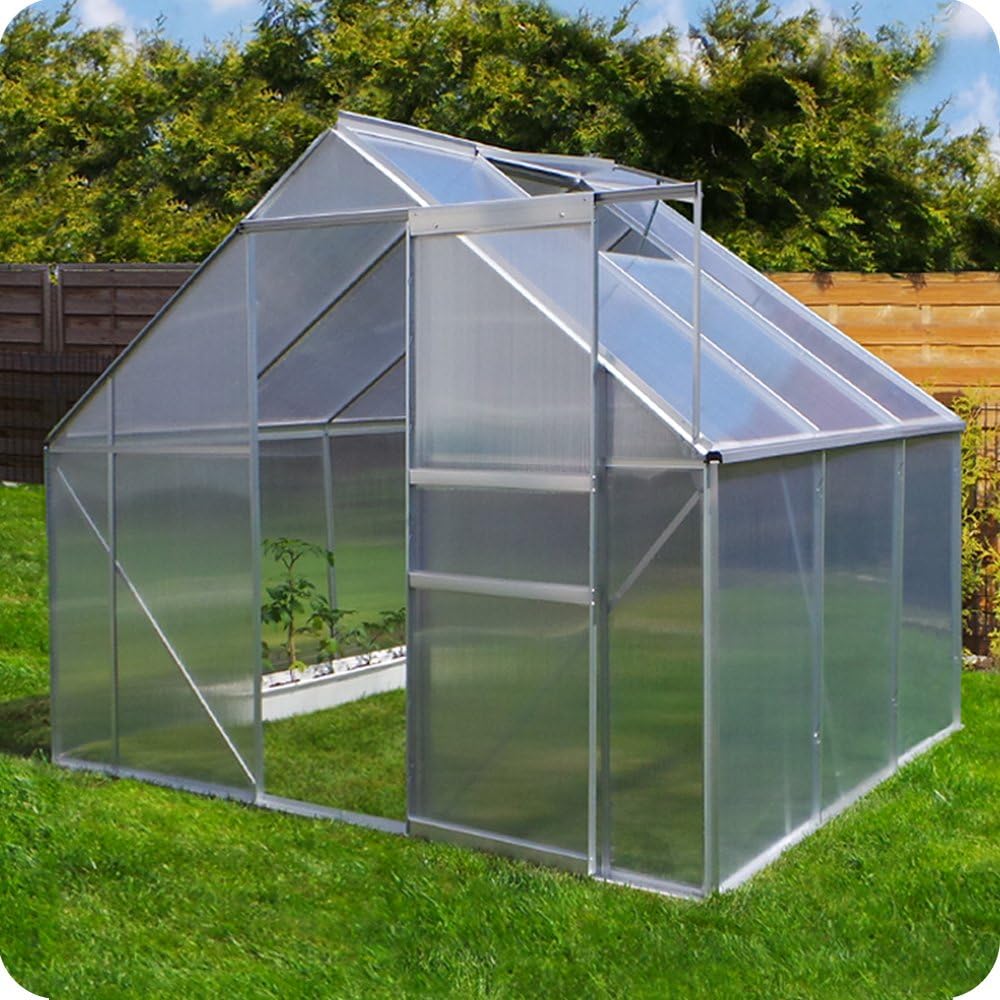 Aluminium Gewächshaus 250x190 cm - 4,75 m² mit Fundament - 6mm Verglasung, Silber, Garten Pflanzenhaus 7,58m³ Alu Treibhaus Tomatenhaus (250x190 - Silber)