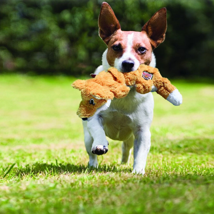 Raposa de pelúcia Kong Scrunch Knots para cães