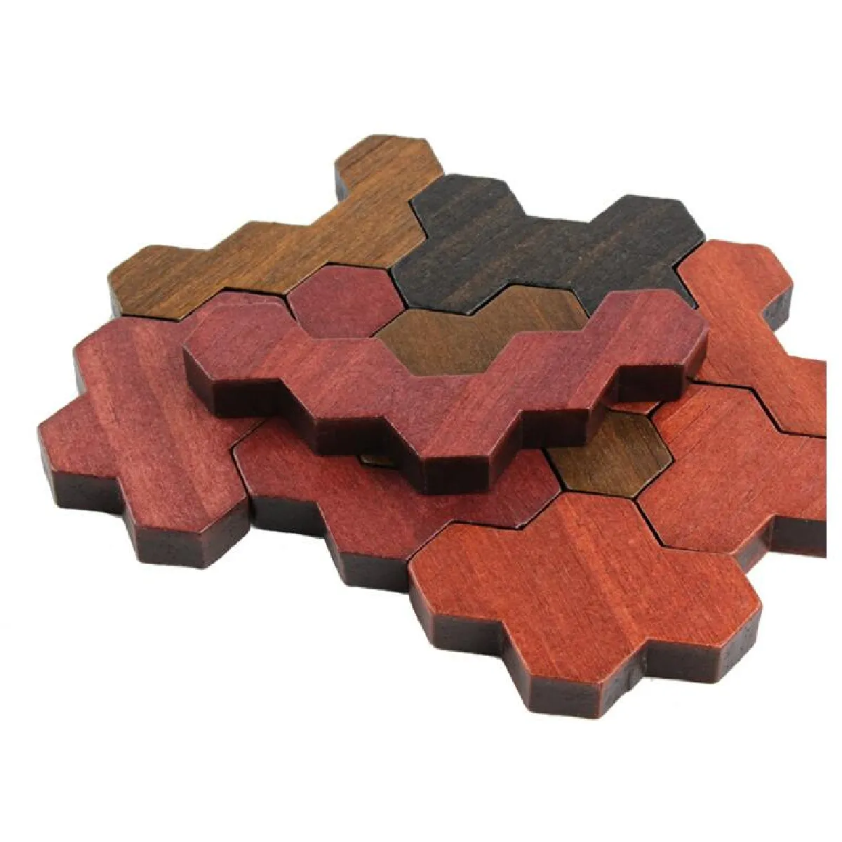 Universal IQ Puzzle en Bois Educatif