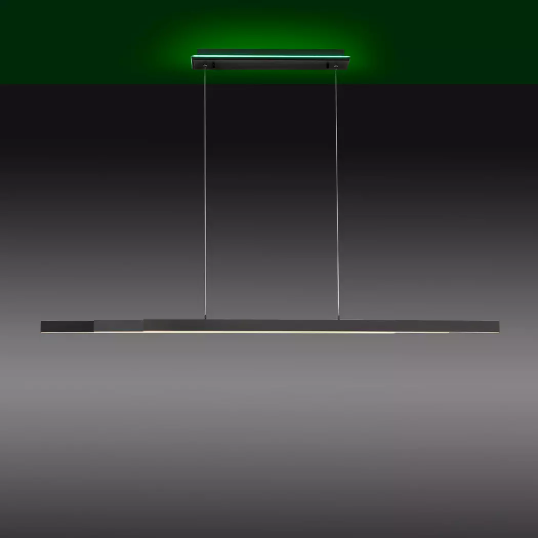 LED-Pendelleuchte Q-Arian
