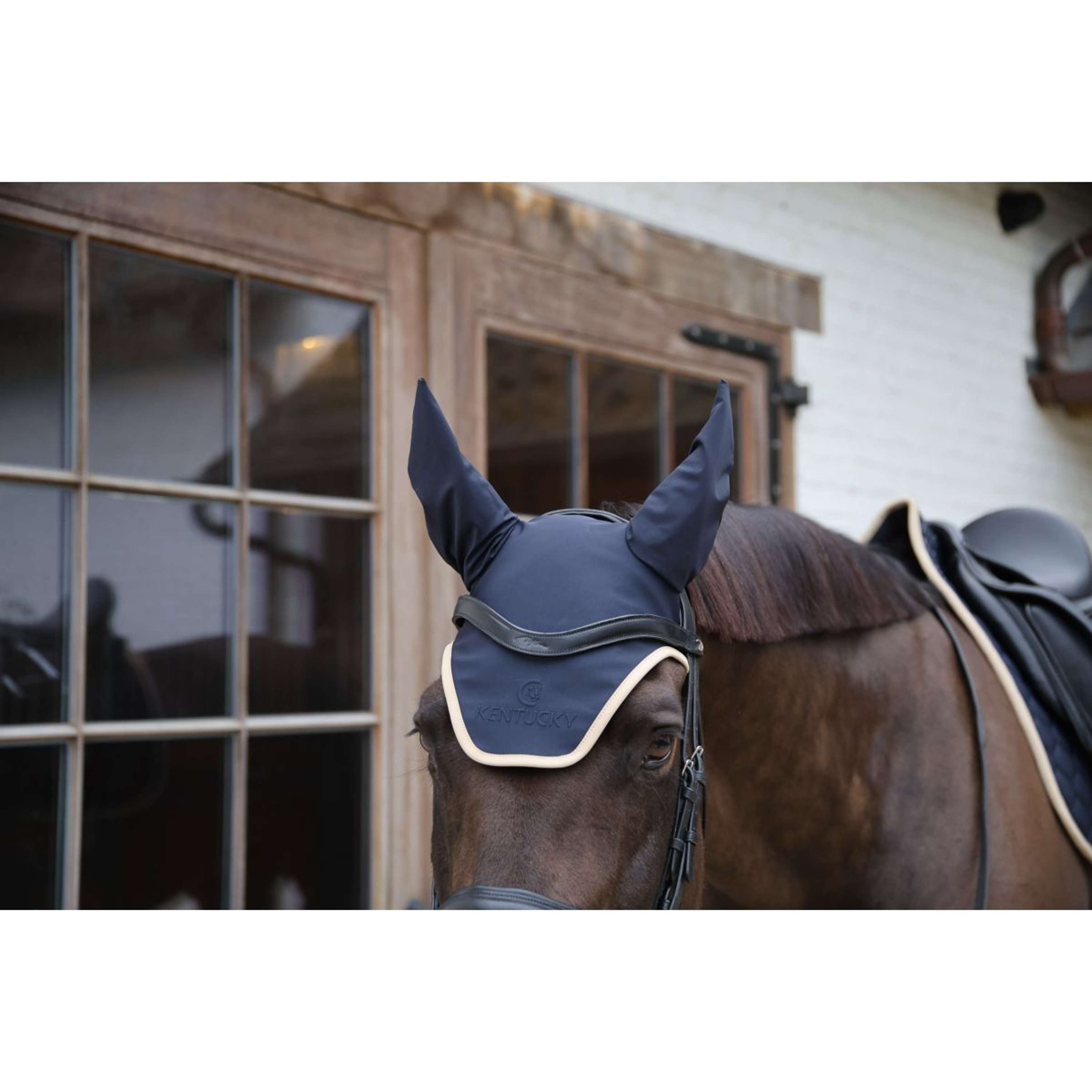 Kentucky Oornetje Wellington Softshell Navy/Beige