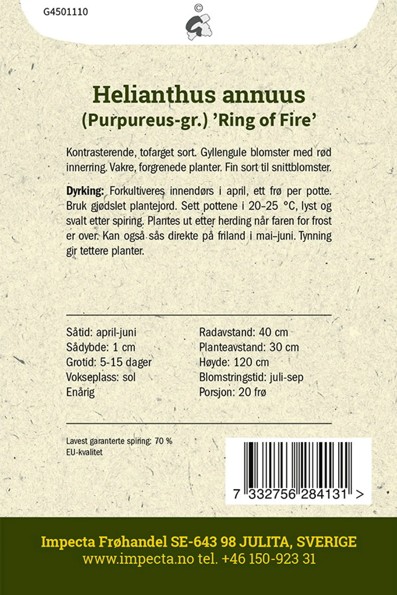 Helianthus annuus 'Ring of Fire' Solsikke 'Ring Of Fire'