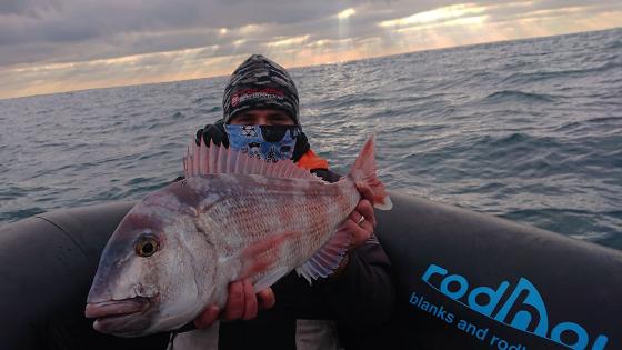 Blank Snapper Beast 84VS 2.13m verti 30-130gr Tenya