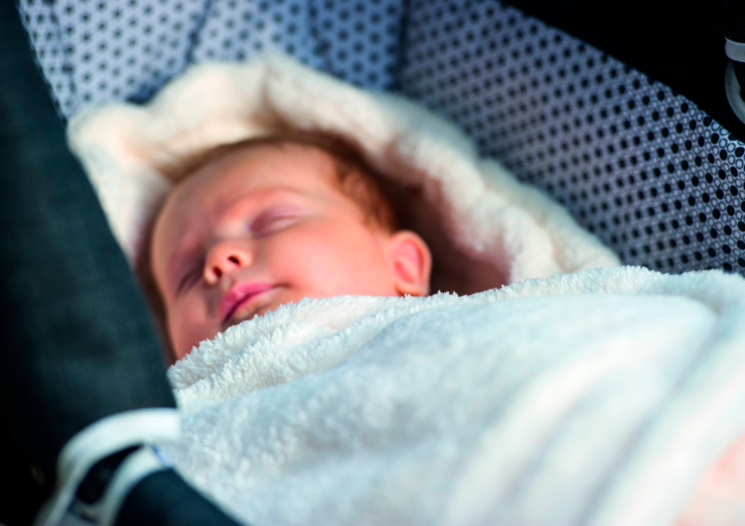 Hartan Kuschelnest »Pucknest« passend für Hartan Kombi- und Falttasche; Made in Germany