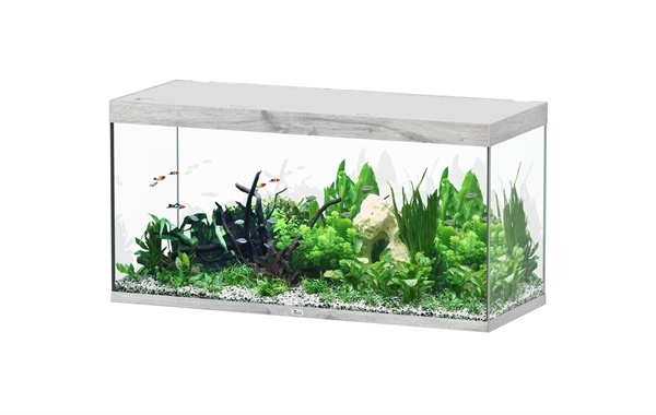 Aquatlantis Sublime 150x60 aquarium | Gloednieuw