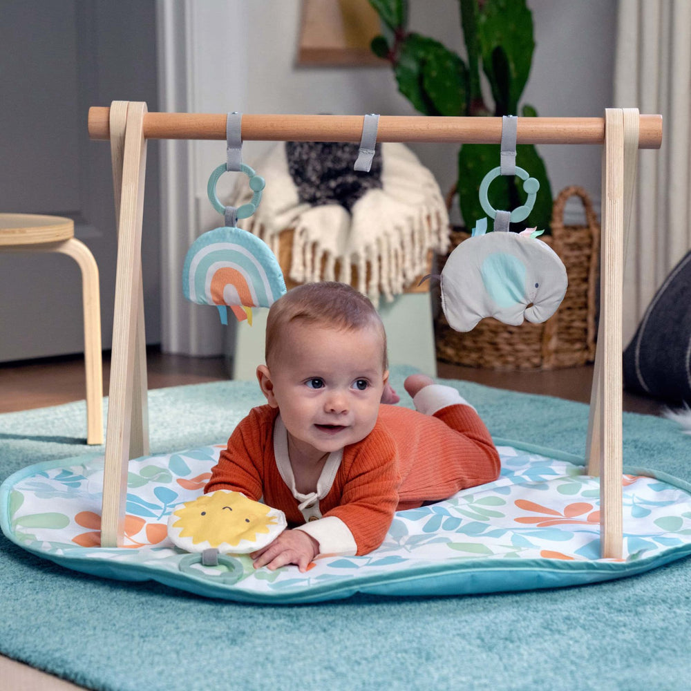 Køb Ingenuity Sun Valley™ Wooden Legetøj Aktivitetsbue & Play Mat