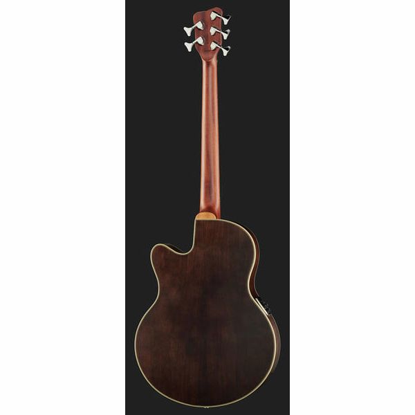 Warwick Alien Deluxe 5 Hybrid Thinline