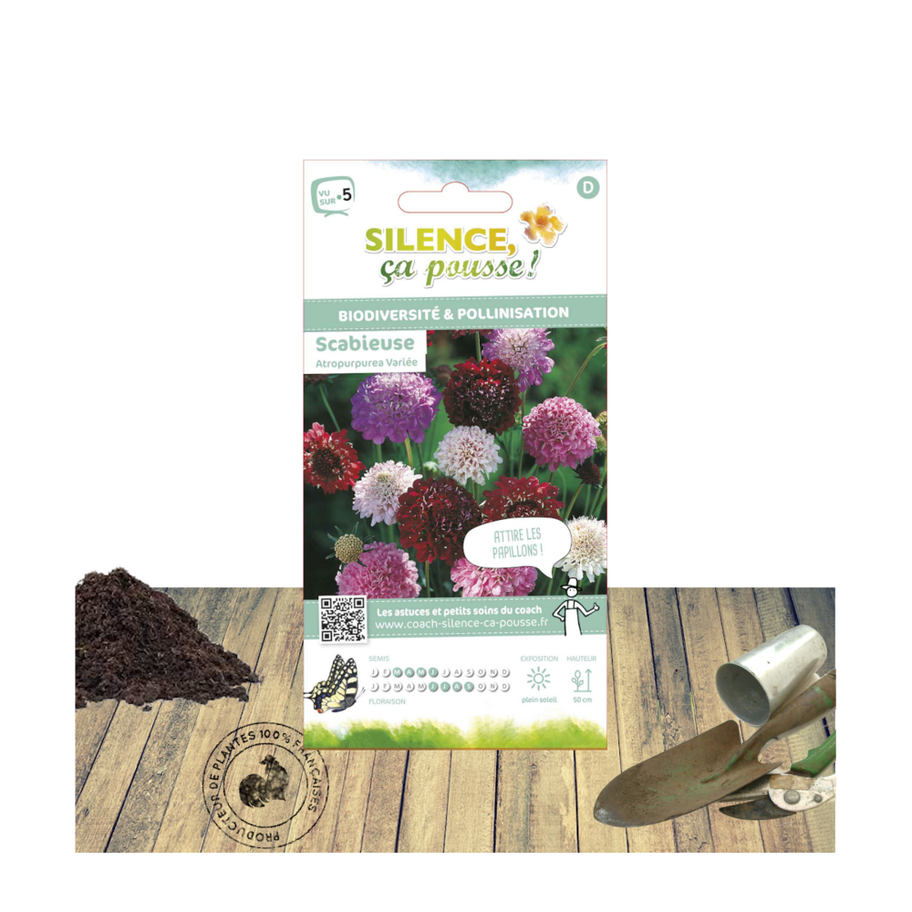Graines de scabieuse atropurpurea variée/scabiosa atropurpurea[-]sachet de 1,80 gr.