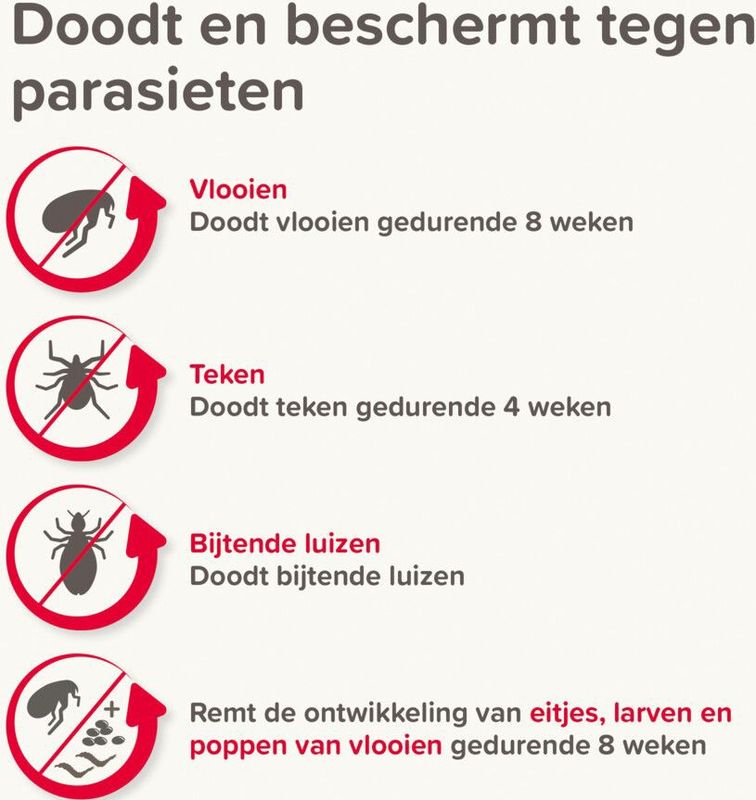 Beaphar - Combotec - Anti Vlooien en Teken Druppels - Hond 10-20 kg - 2 Pipetten
