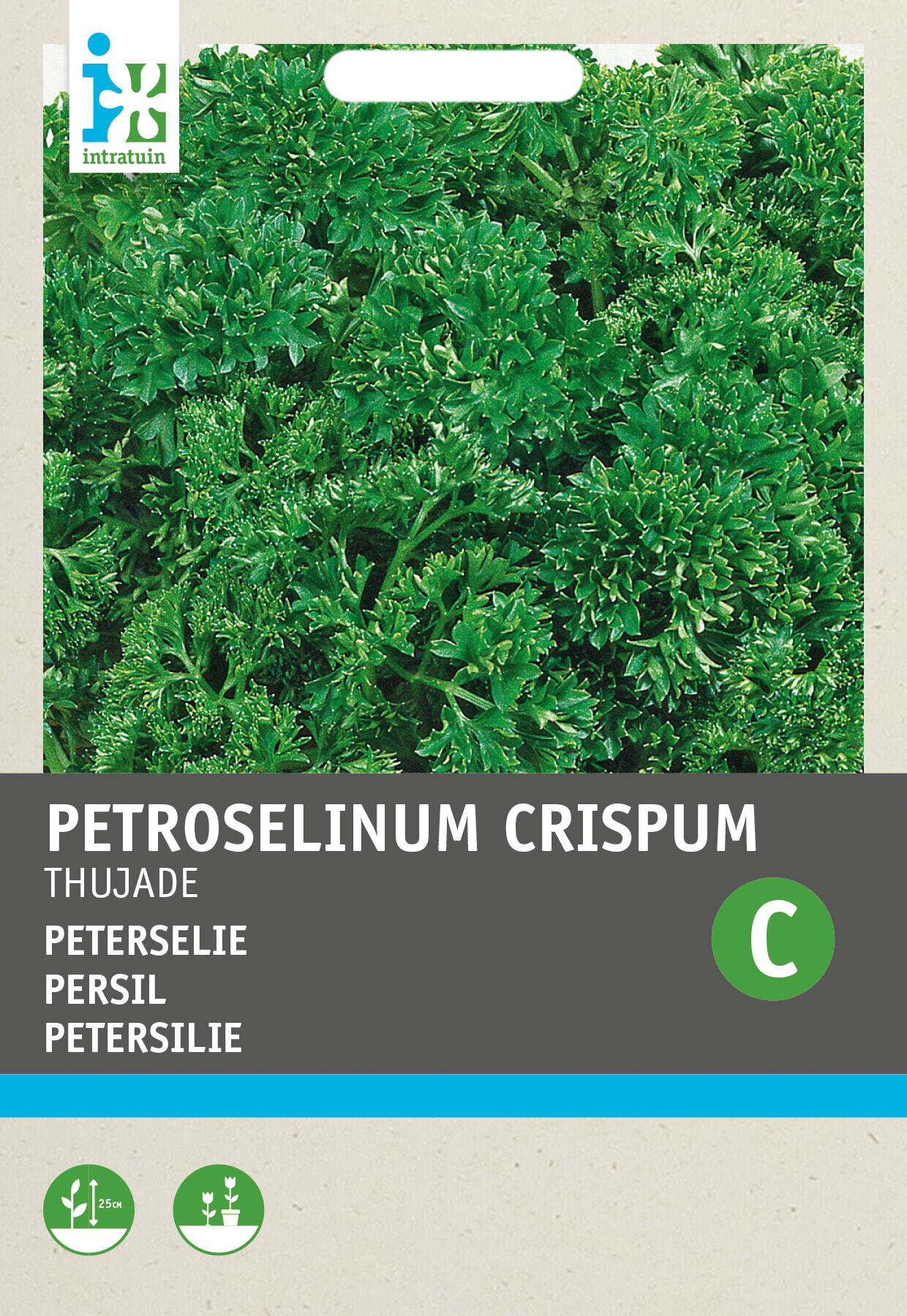 Intratuin kruidenzaad Peterselie donkergroen (Petroselinum Crispum 'Thujade')