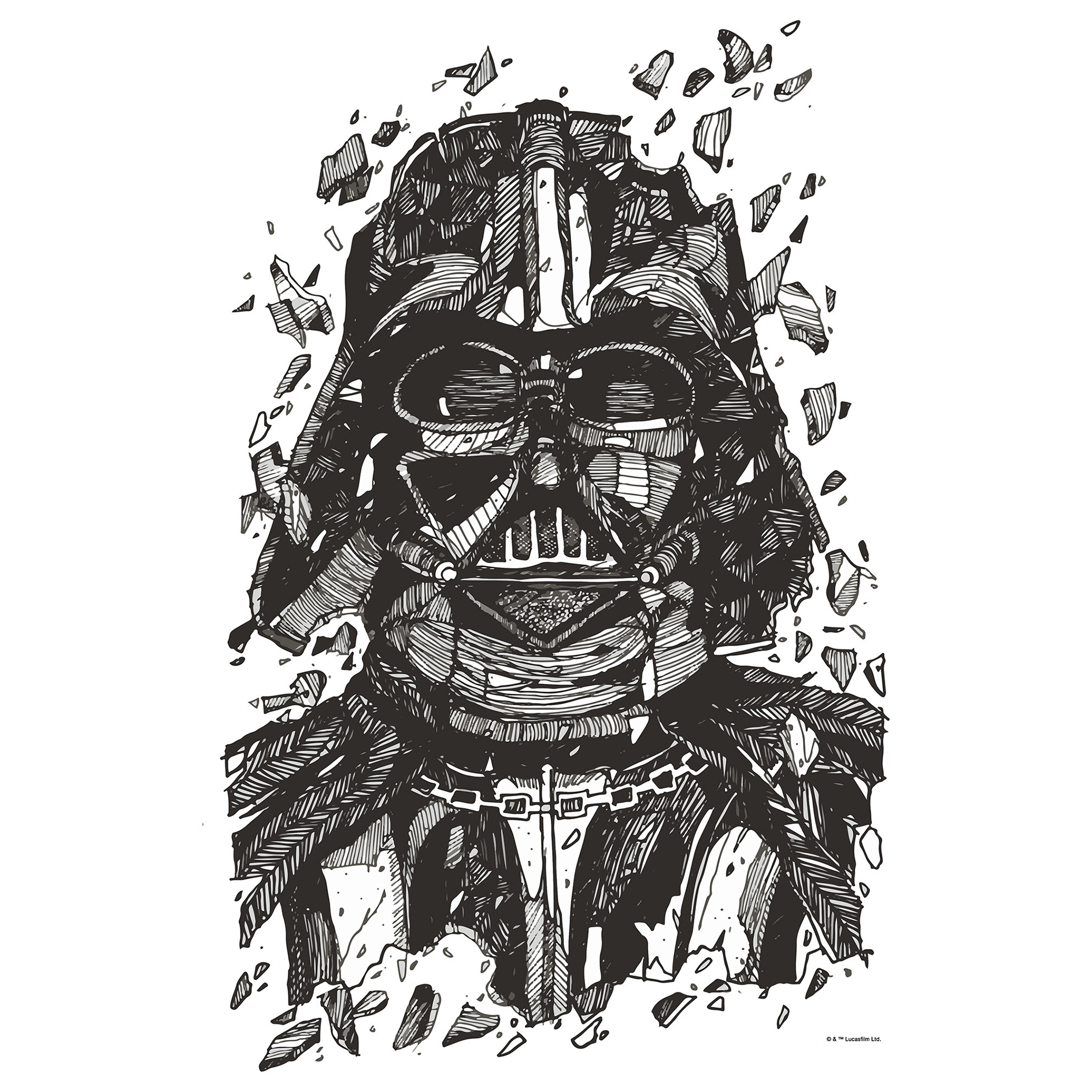 Wandbild STAR WARS DARTH VADER DRAWING - schwarz-weiß - 50x70 cm
