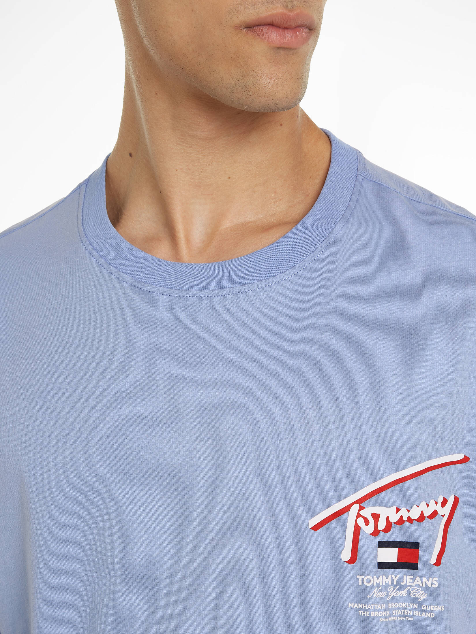 Tommy Jeans| Herren T-Shirt SIGNATUR-LOGO Regular Fit