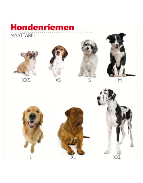 Adori Traininglijn Nylon Rood - Hondenriem