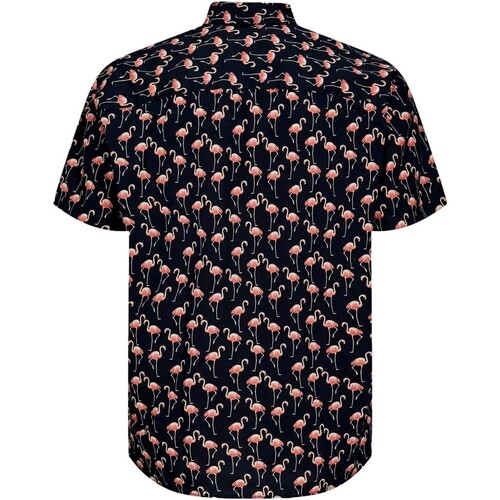 Jack & Jones - CAMISA ESTAMPADA HOMBRE JACK & JONES 12233538 Azul