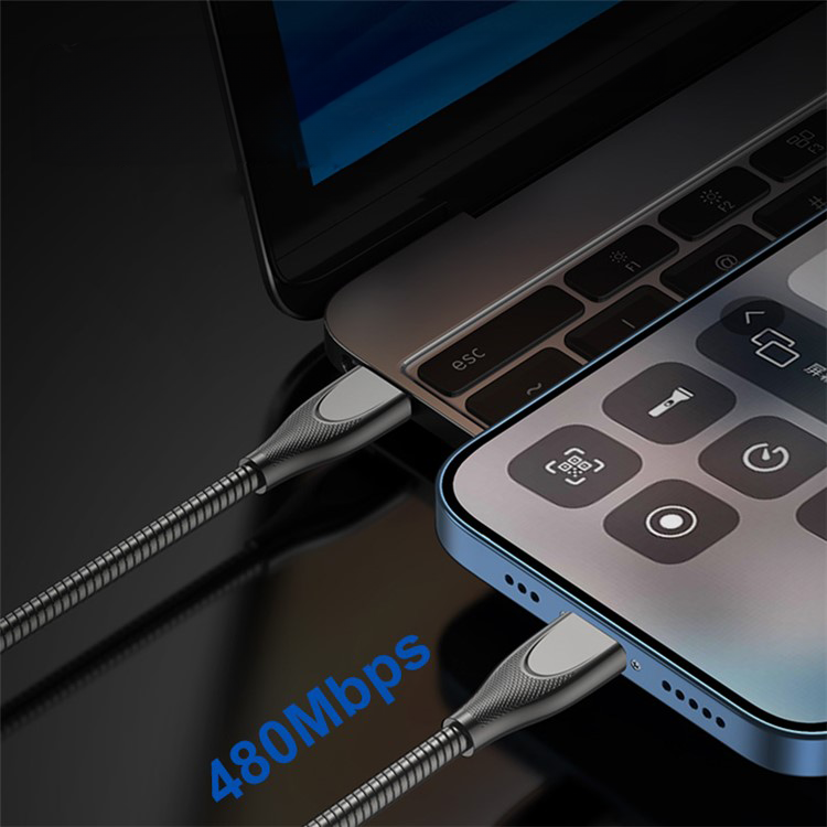 (2m) 100W USB C auf USB C Ladekabel Datenkabel mit Stahlummantelung - Silber