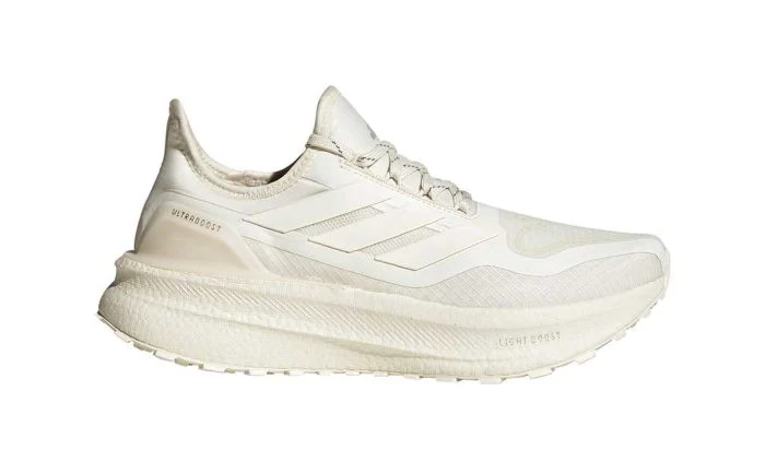 Ultraboost 5 GTX Women