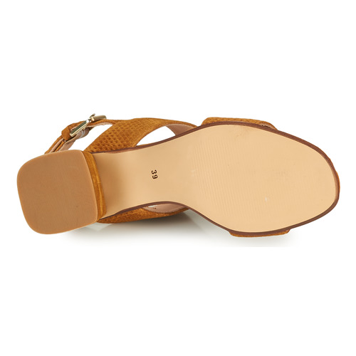 Fericelli - MARRAK - Camel