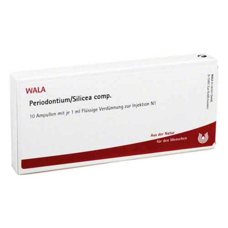 Periodontium / Silicea comp. Ampullen, 10X1 ml