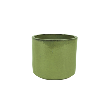 Susan green D31 H27