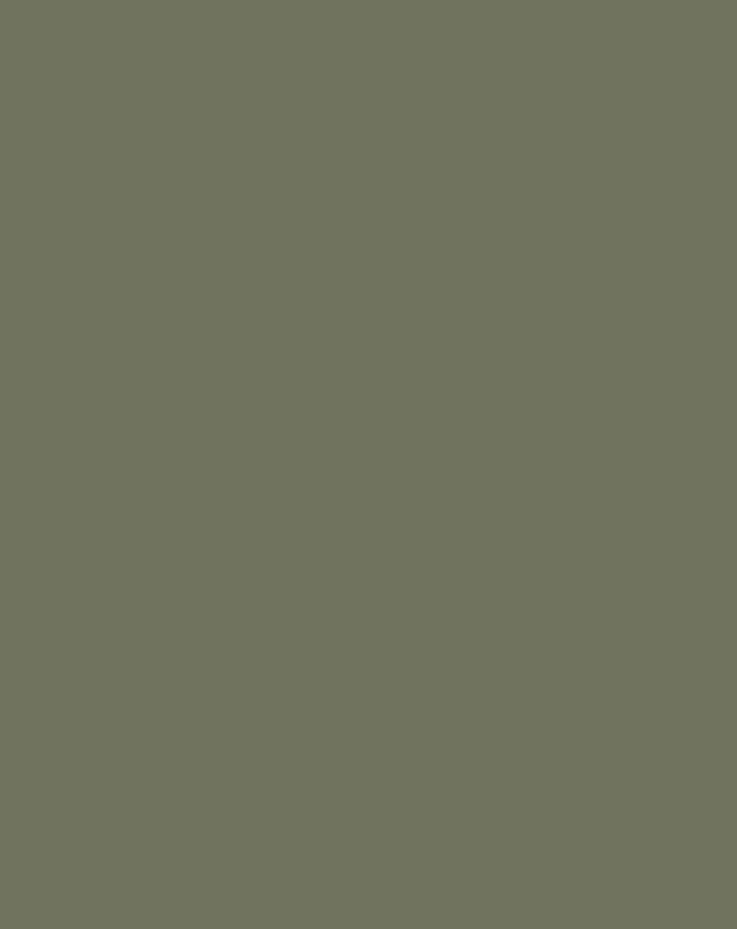 Schulranzen-Set BOXY UNIQUE (30x25x42) 7-teilig in olive