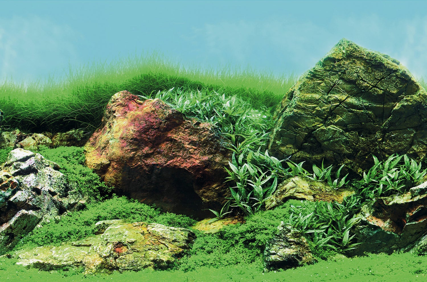 SuperFish aquarium decoratie Poster C3 multi 100 x 49 cm