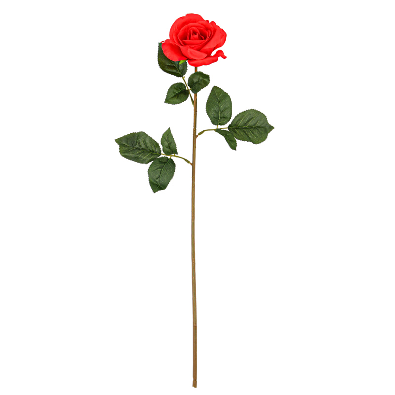 Tige de rose rouge
