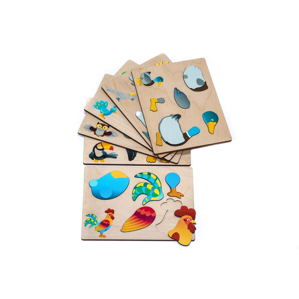 EDUPLAY Magnetpuzzle Vögel