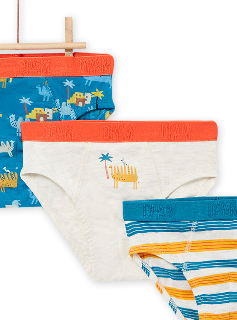 Lot de 3 slips assortis enfant garçon