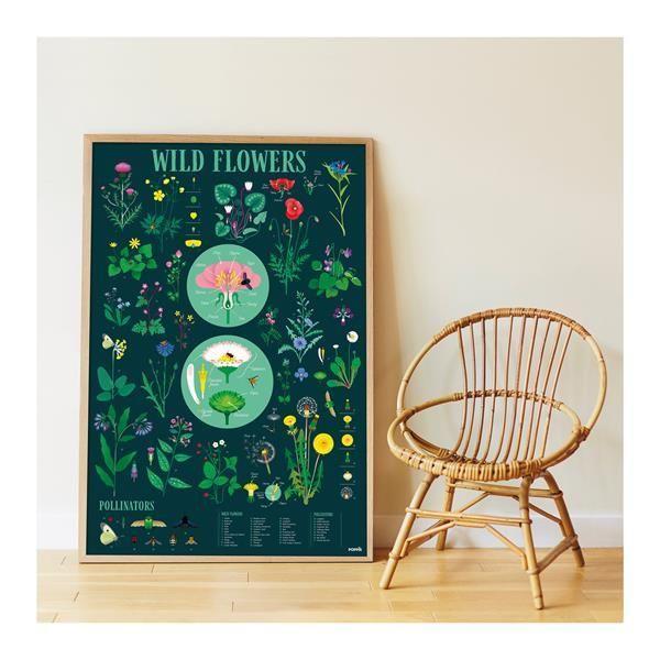POPPIK Sticker Lernposter Botanik