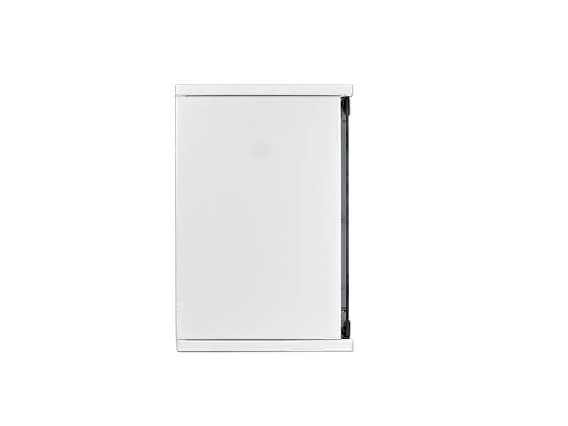 Wirewin Wandschrank WCAB 10 312X300X9U 10