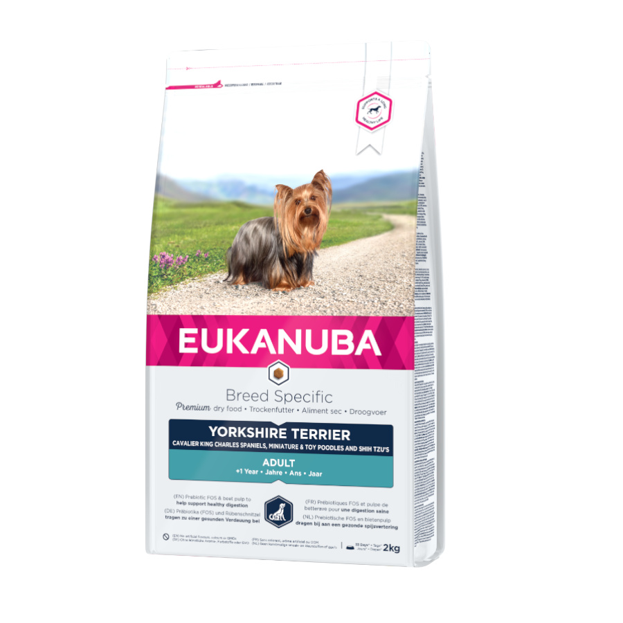 Ração Eukanuba para cães da raça Yorkshire Terrier adulto