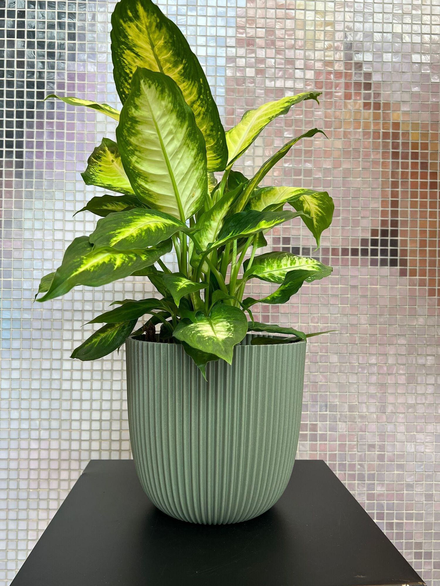 Capi Europe bloempot Groove Grass groen D 21,5 H 20 cm