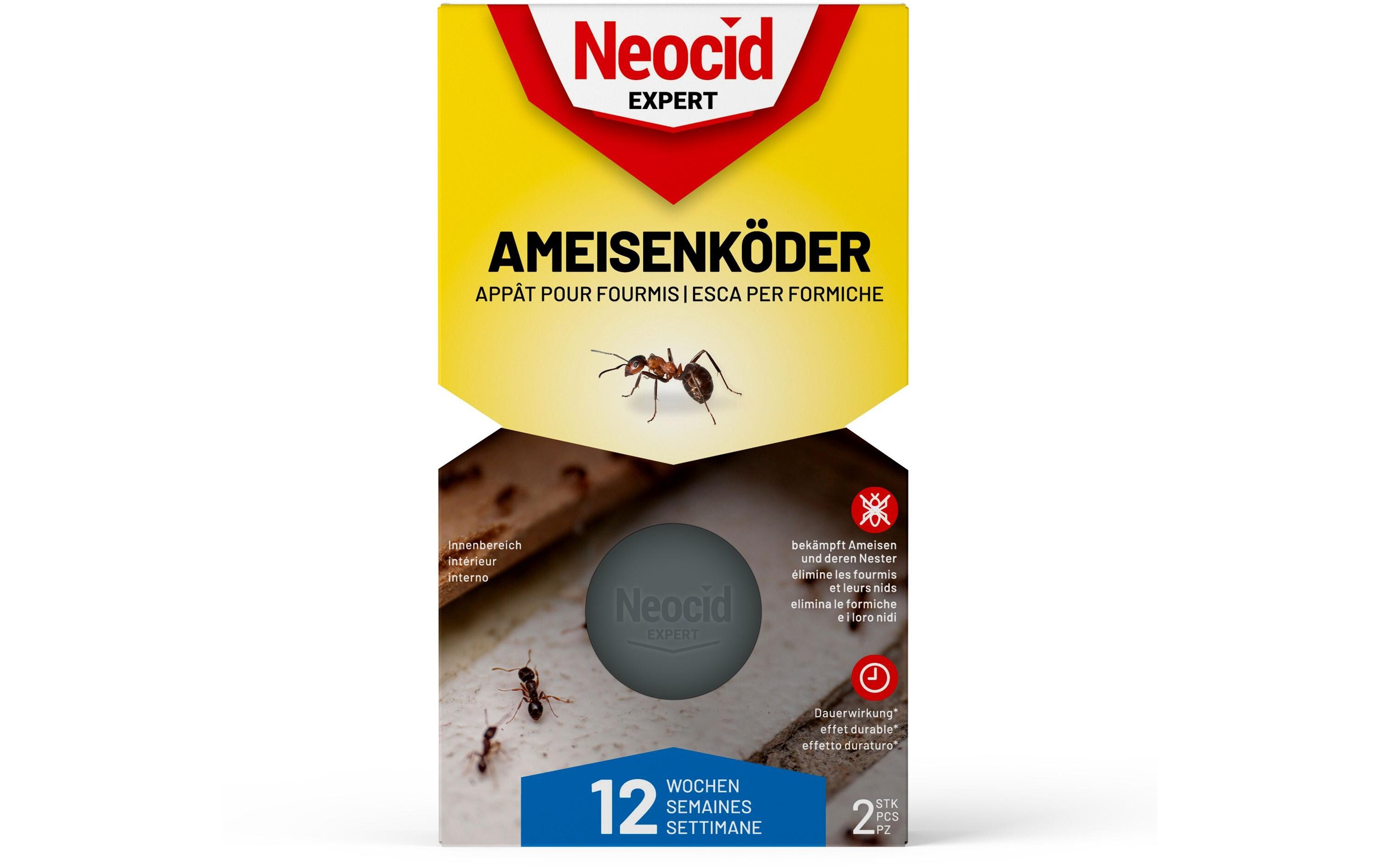 Insektenfalle Ameisenköder, 2 StückAmeisenfalle