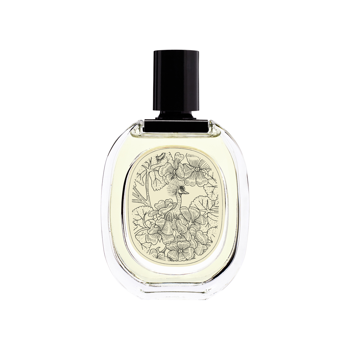 Geranium Odorata Eau de Toilette 100ml