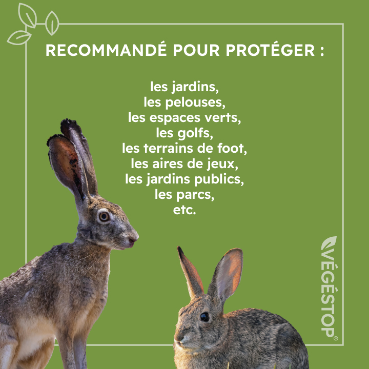 Répulsif lapins et lièvres granulés - 5 kg - jardin - extérieur - origine végétale - protection potager et cultures