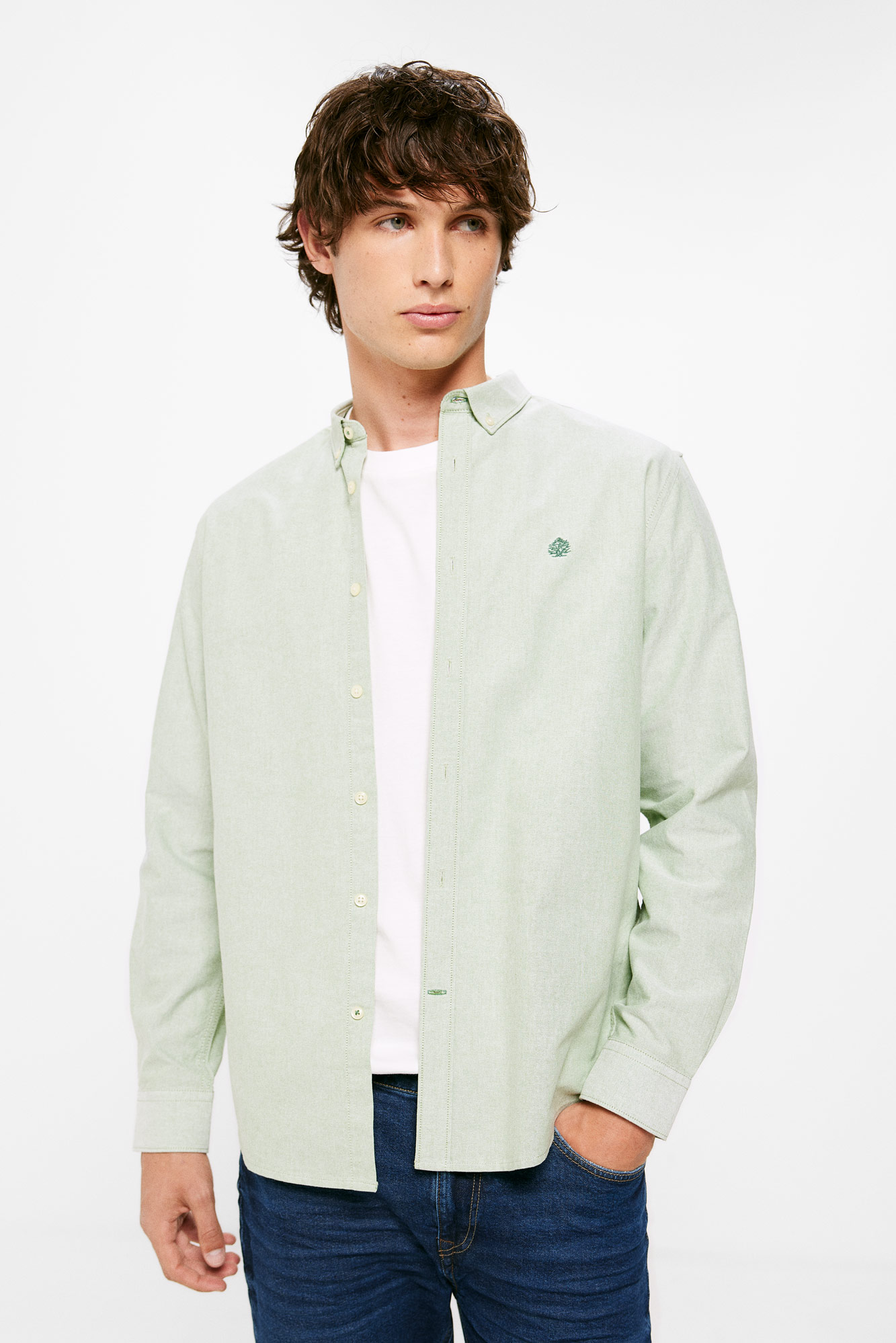 Cor da camisa Oxford
