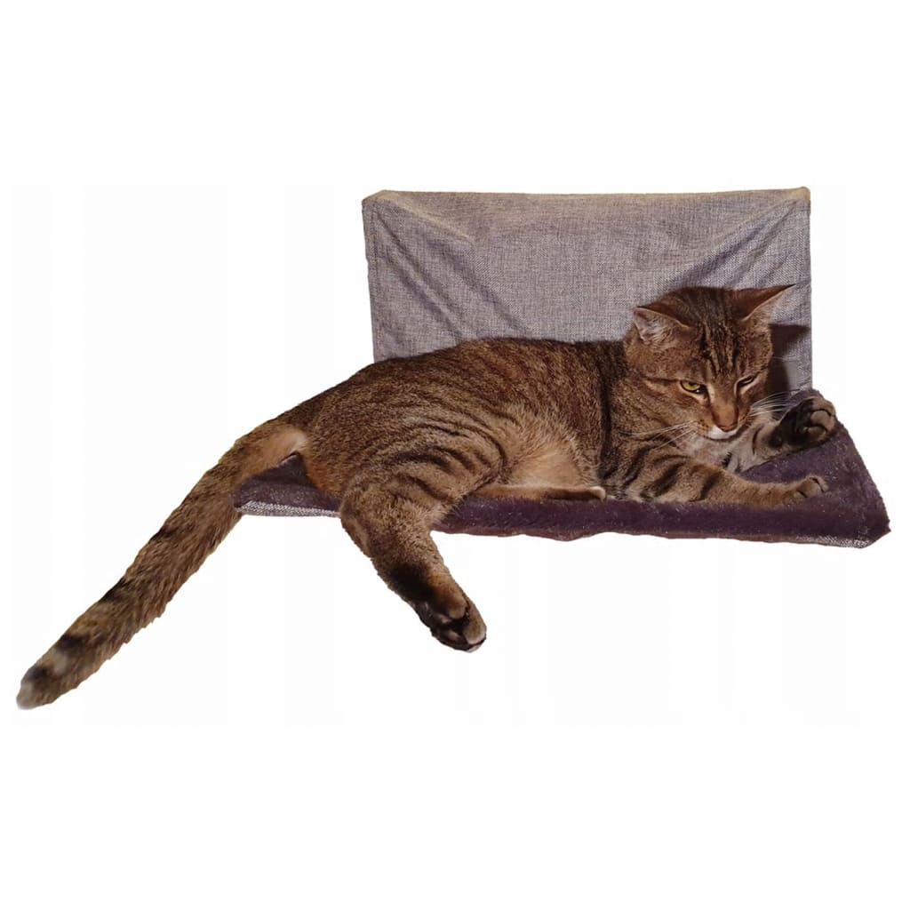 Rede para Gatos