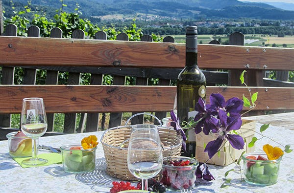 Weinbergwanderung in Buchholz