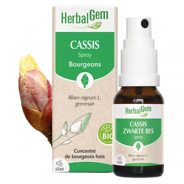 Herbalgem Cassis spray Bio 15ml