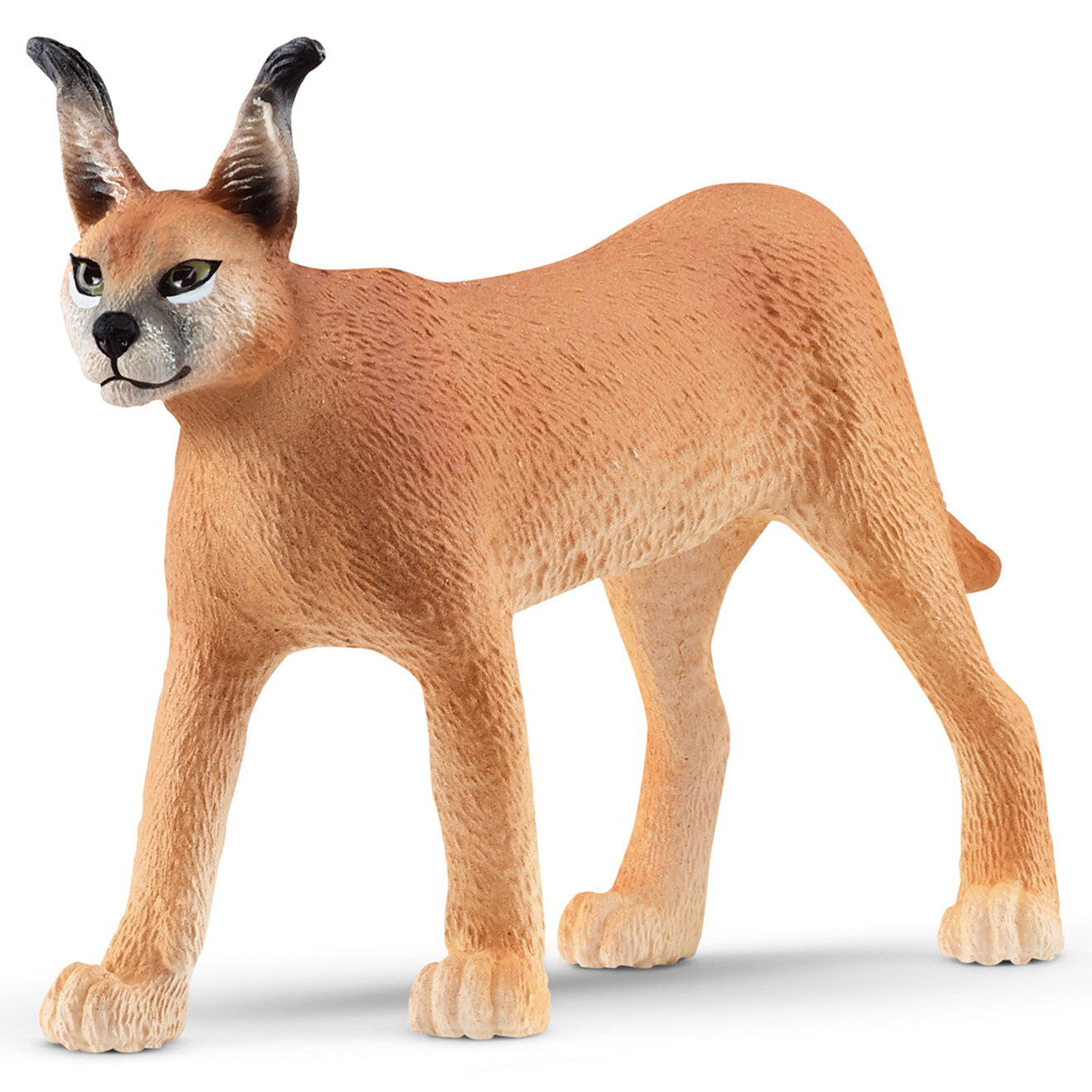 Schleich Femelle Caracal  multicolore