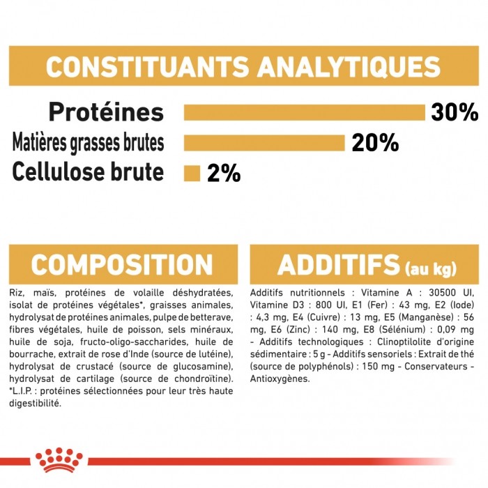 Royal Canin Chihuahua Adult - Croquettes pour chien